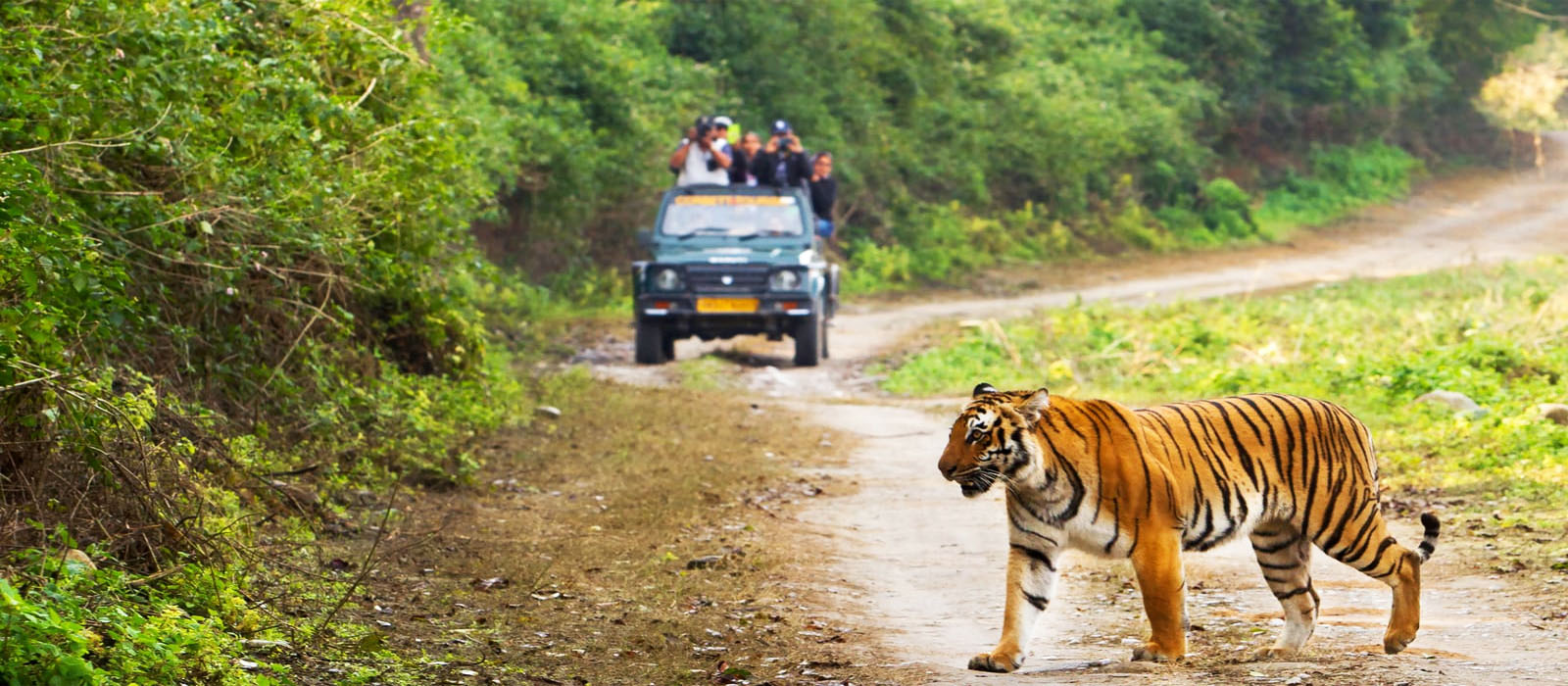 Jim Corbett Tour - Uttarakhand