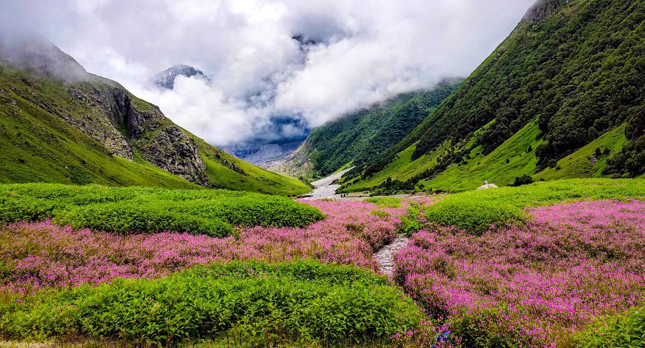 Valley Of Flower, Uttarakhand