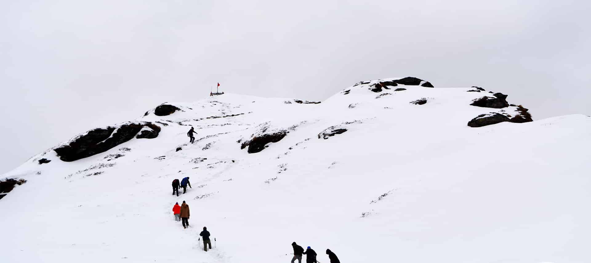 Chopta Trekking Packages from Delhi