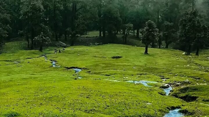 chopta tour package