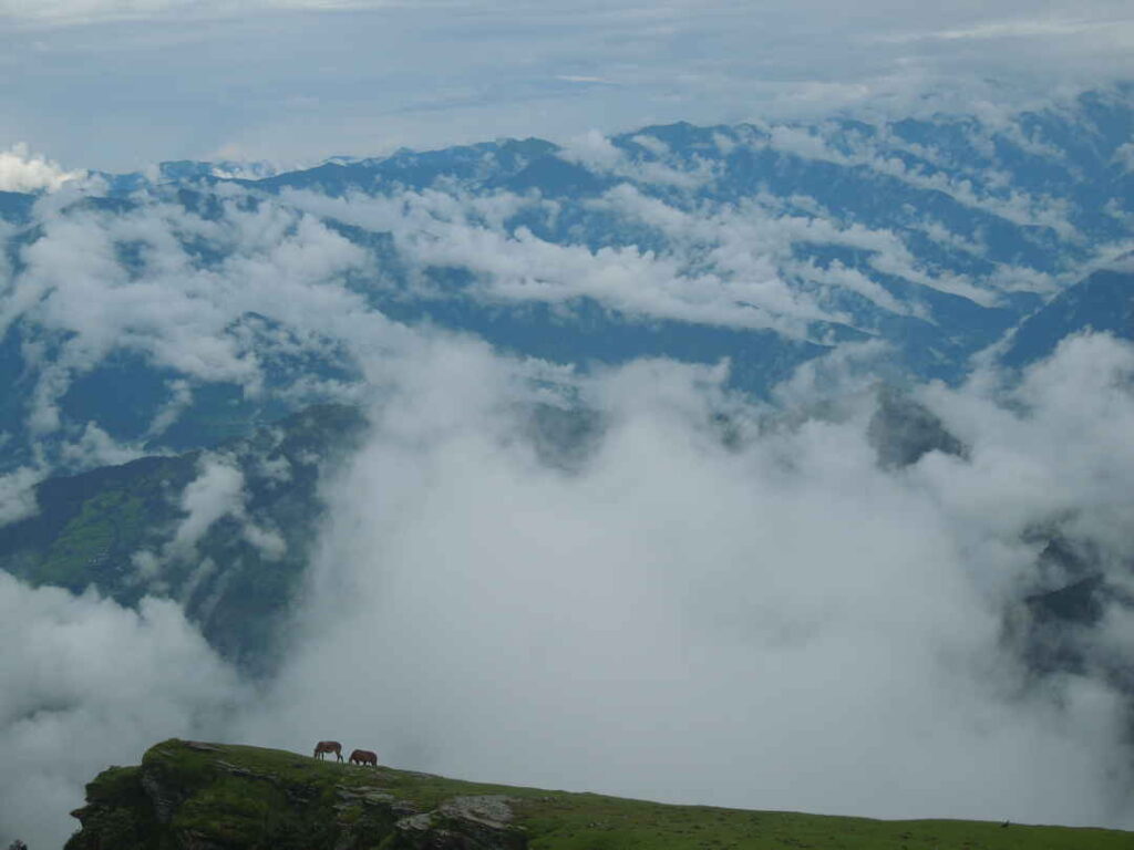 chopta tour package