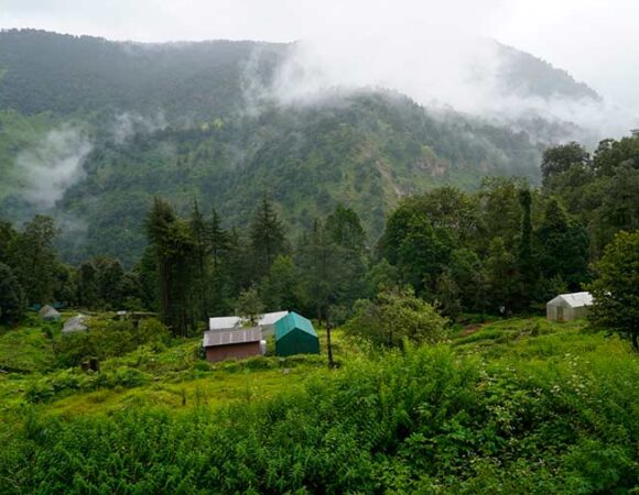 How to Plan Your Trip to Chopta Hill Station in 2025