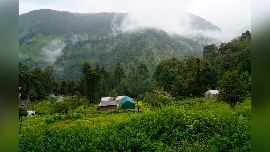 chopta tour package