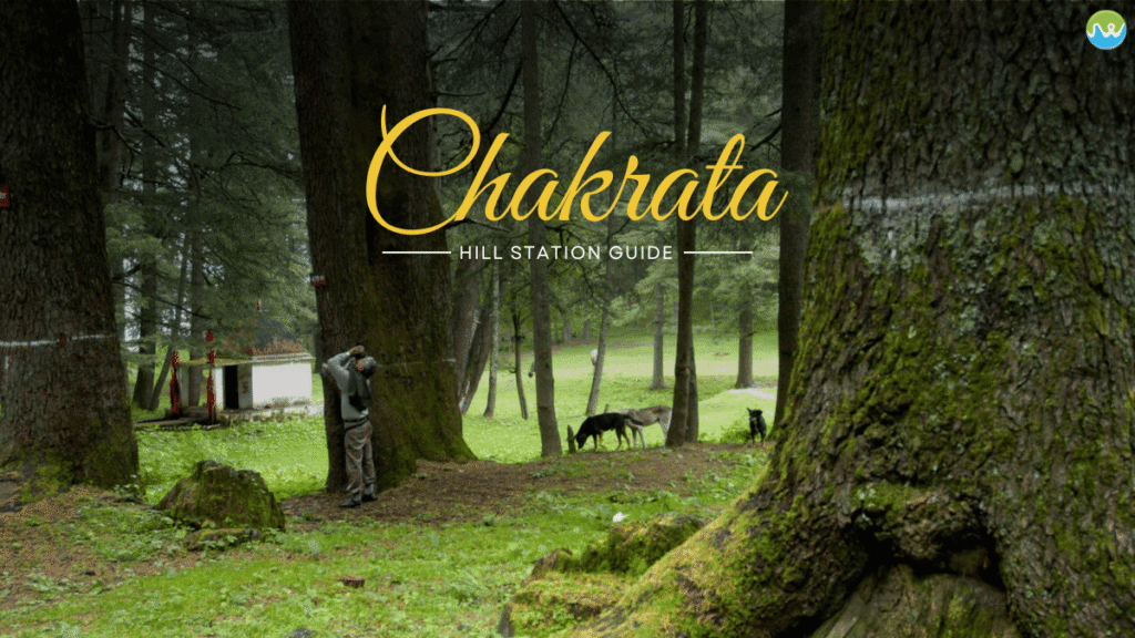 chakrata tour package