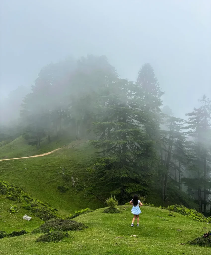 chakrata tour package