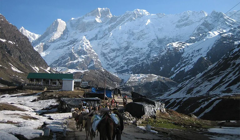 Char dham yatra