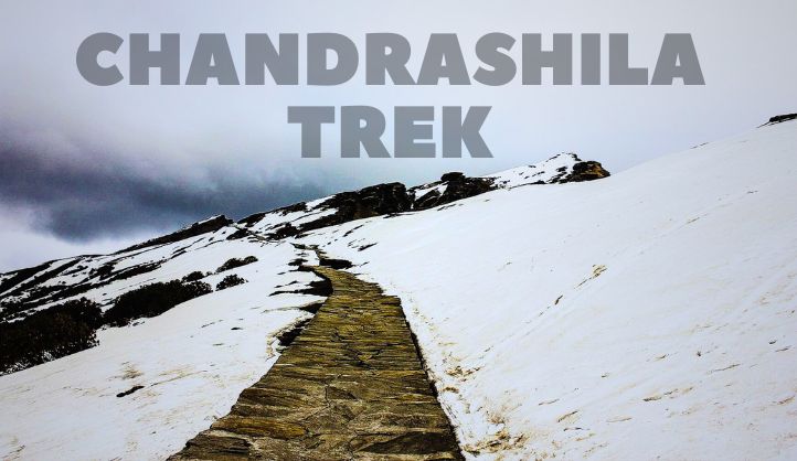 Chopta tour package