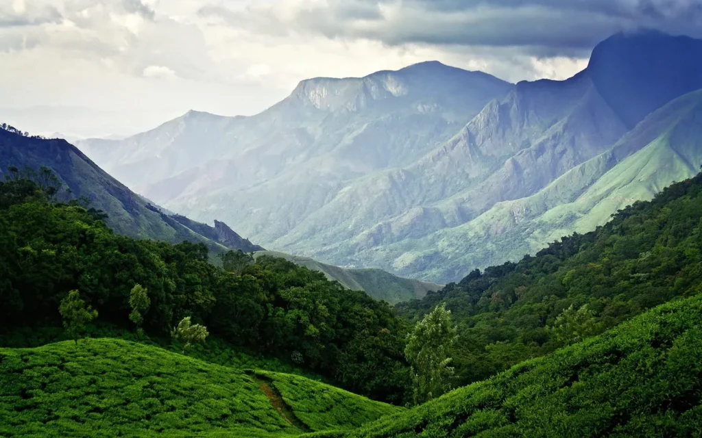 chopta tour package
