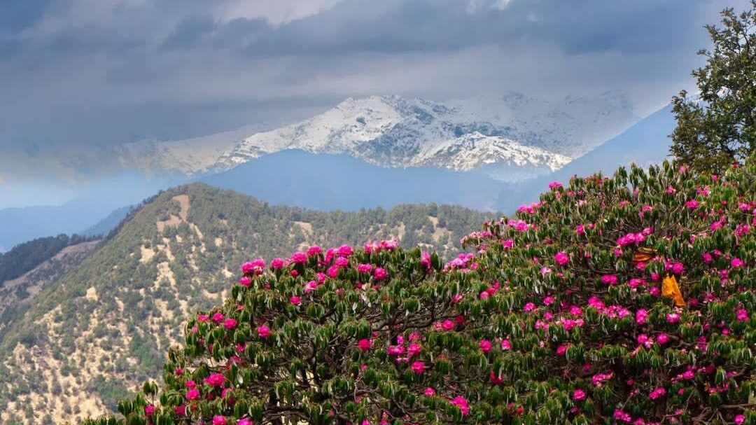 chopta tour package