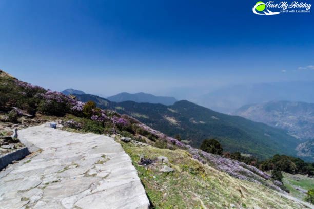 chopta tour package
