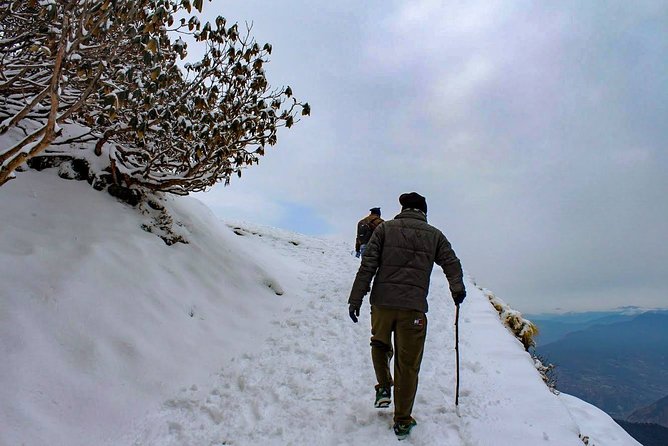 Chopta tour package