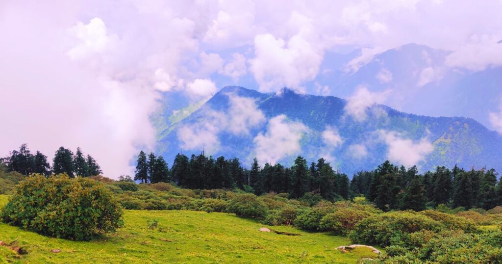 chopta tour package