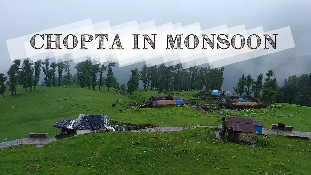 chopta tour package