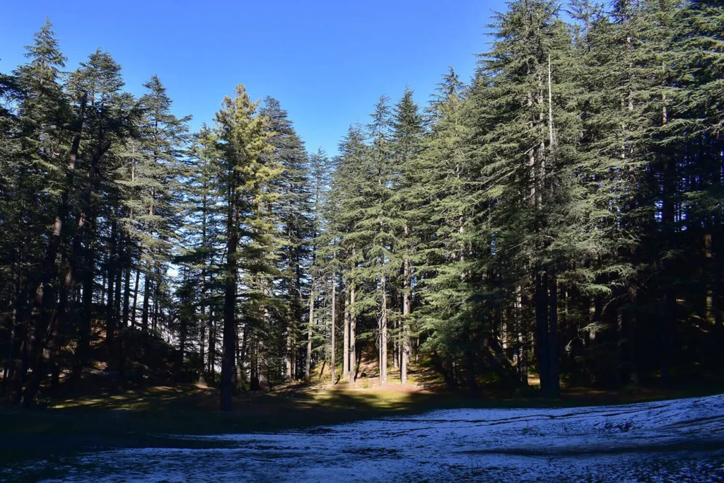 chakrata tour package