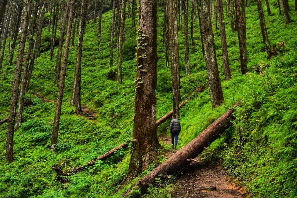 chakrata tour package