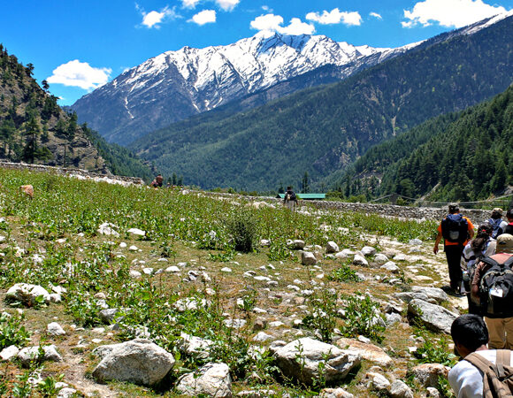 Harsil Valley Trip 2025: Monsoon Itinerary, Tour Packages & Travel Guide