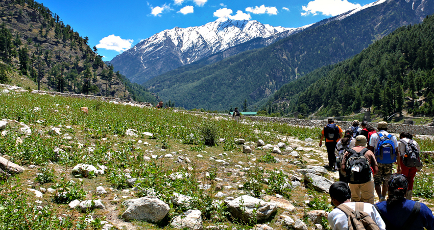 harsil valley tour package