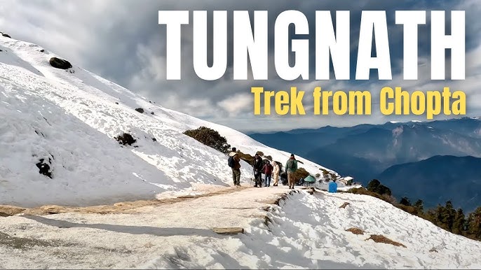 chopta tour package