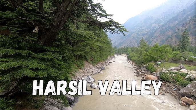 harsil valley tour package
