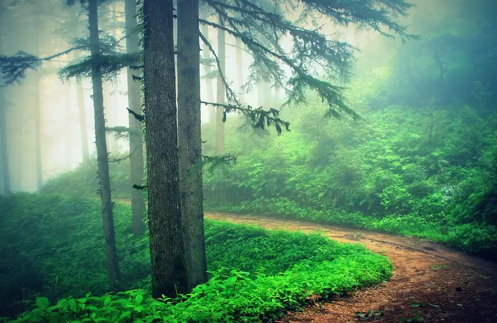 kanatal tour package