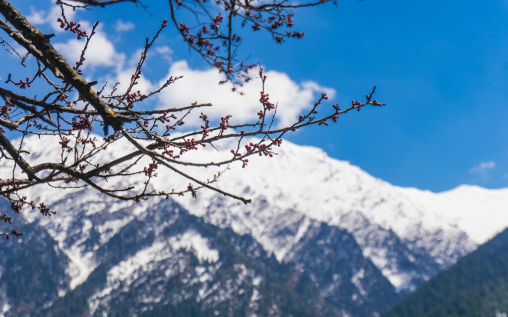 harshil valley tour package