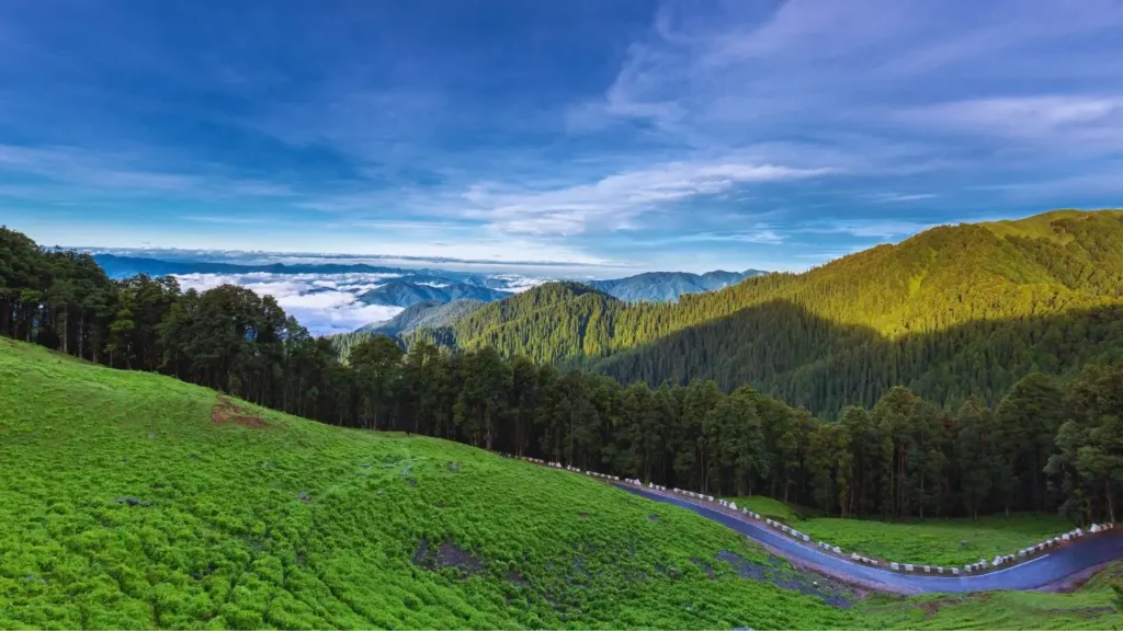 jibhi tour package