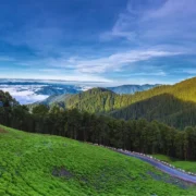 jibhi tour package