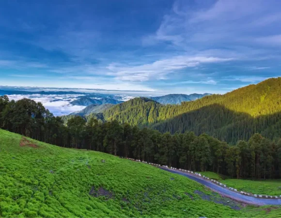 A Green Awakening: Jibhi’s Magical Transformation During the Rains