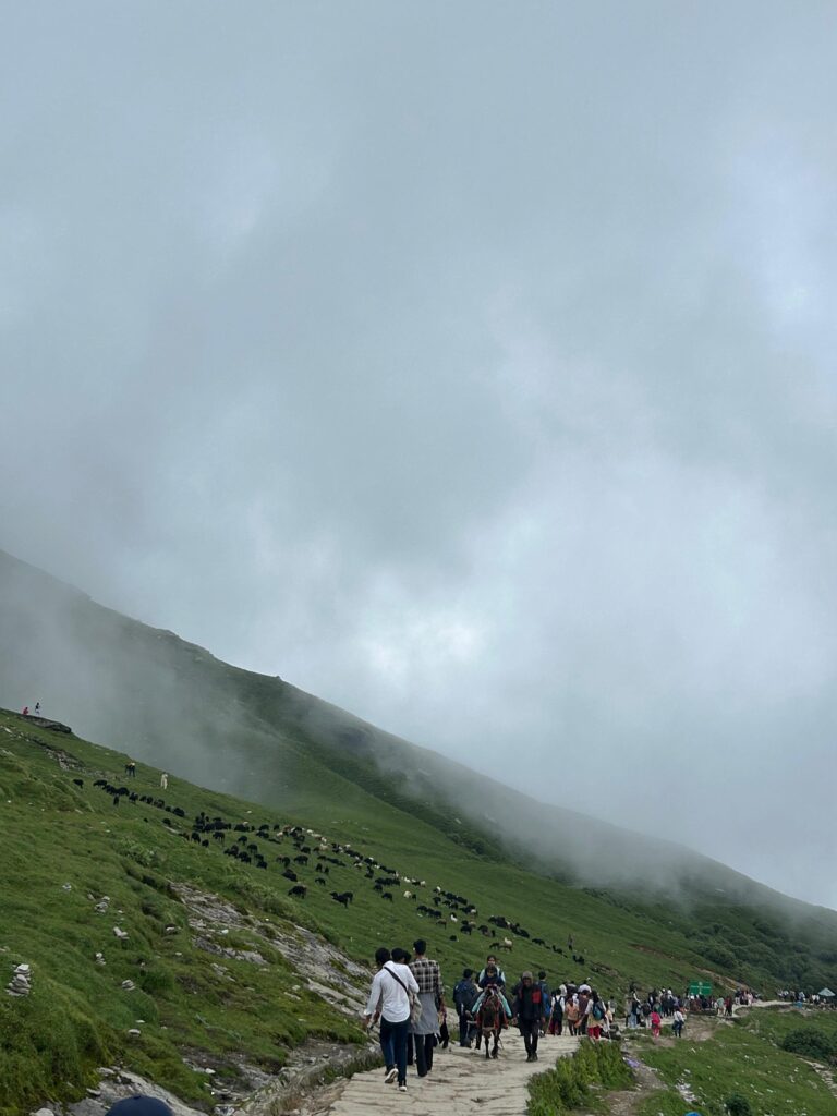 Tungnath Temple Trek