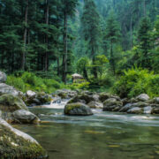 jibhi tour package