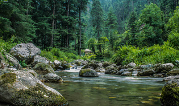 Solo Travel in Jibhi: Finding Peace in Himachal’s Hidden Gem