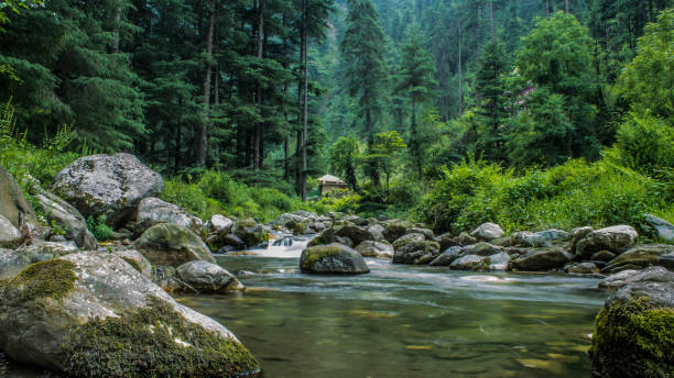 jibhi tour package