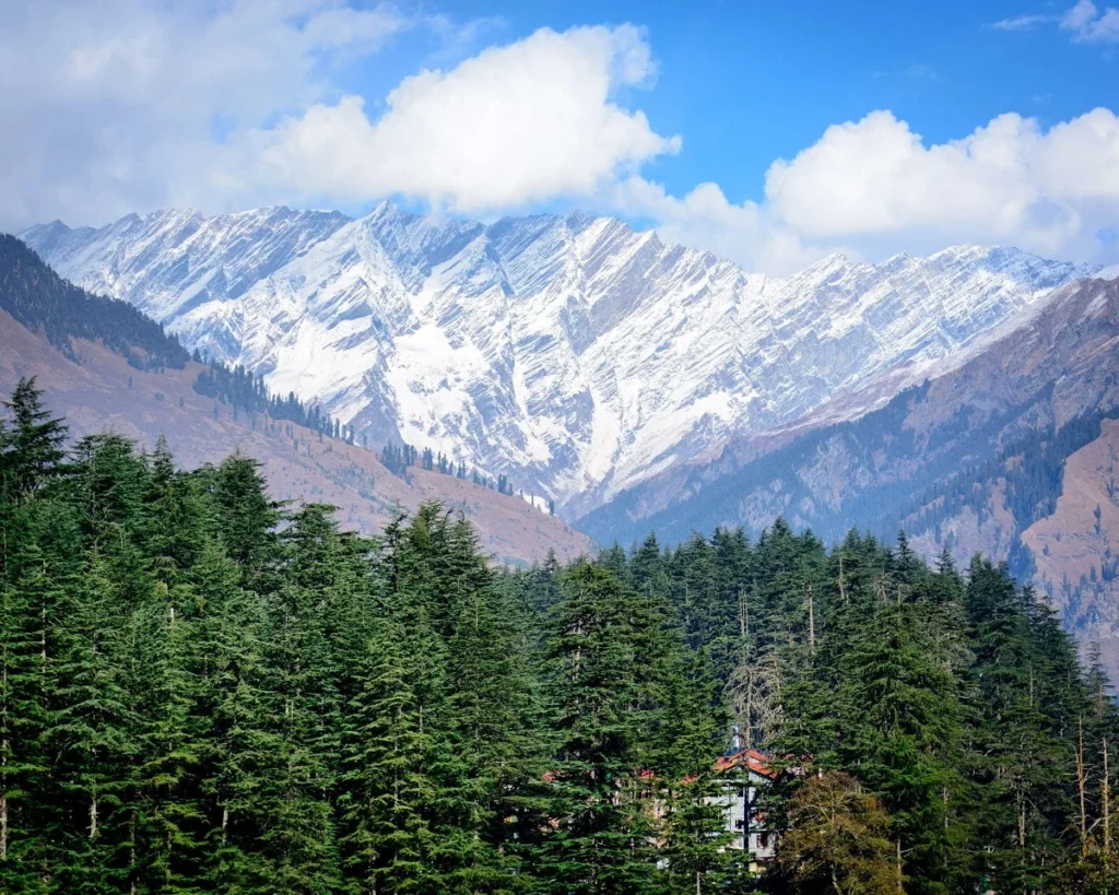 jibhi tour package