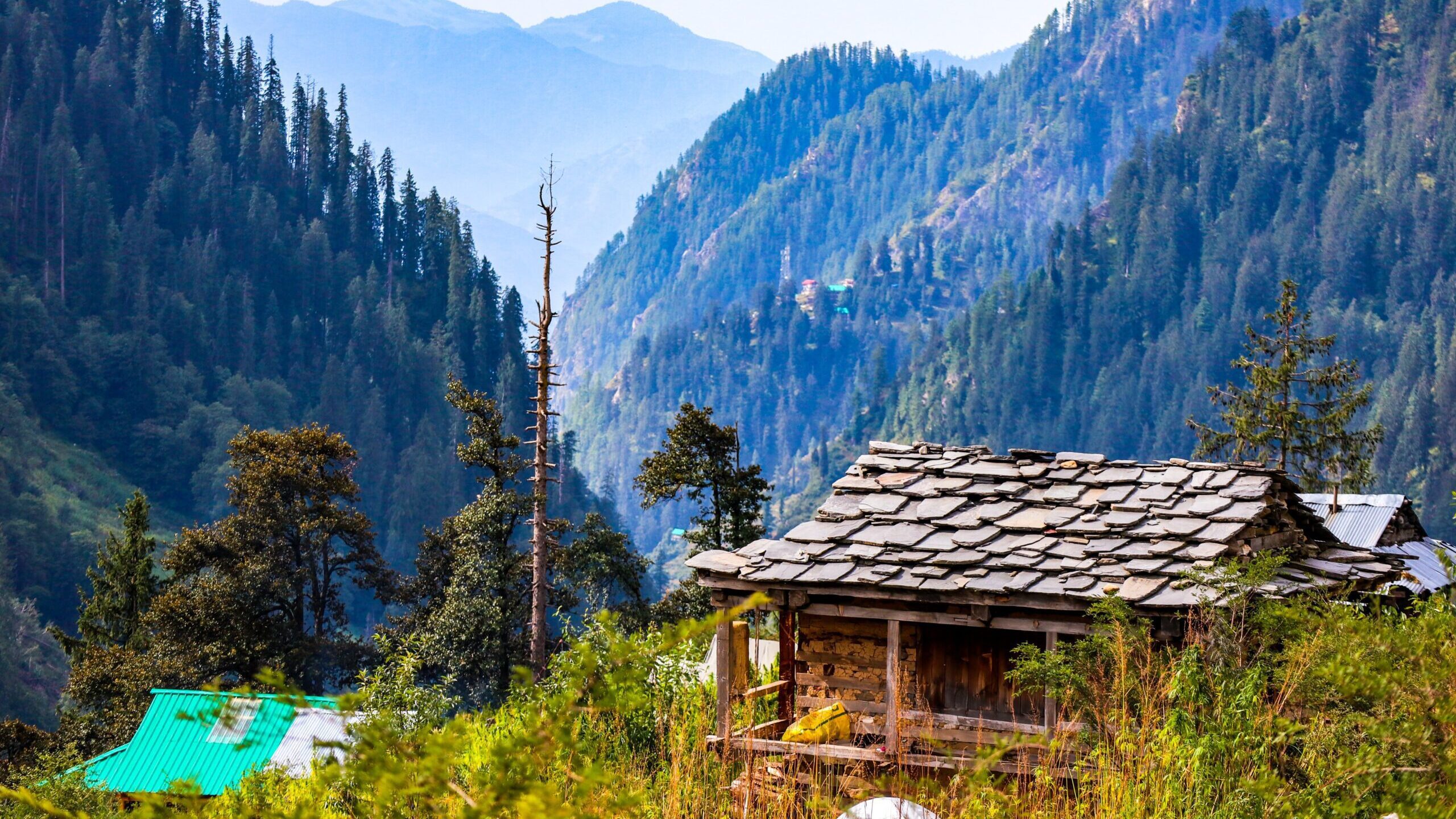 jibhi tour package