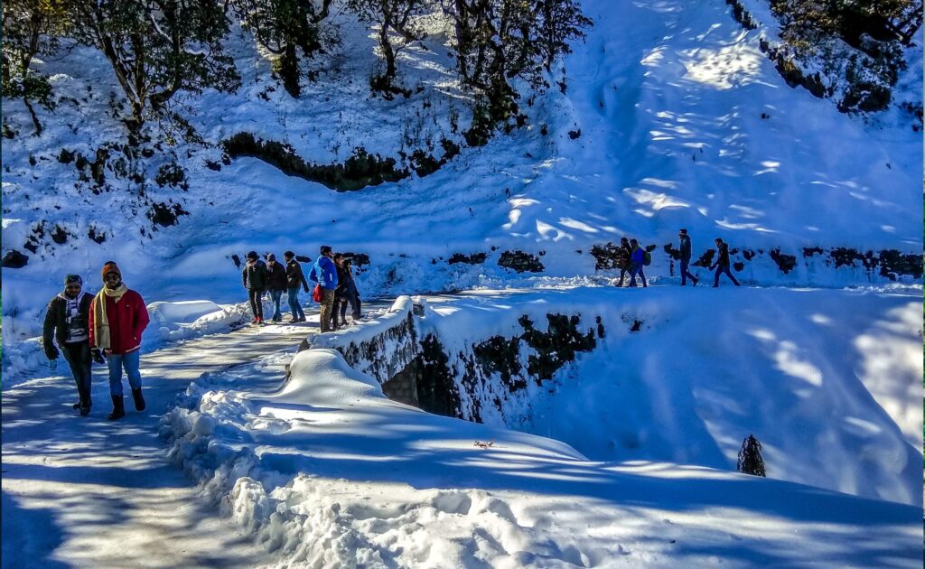 chopta trekking tour package
