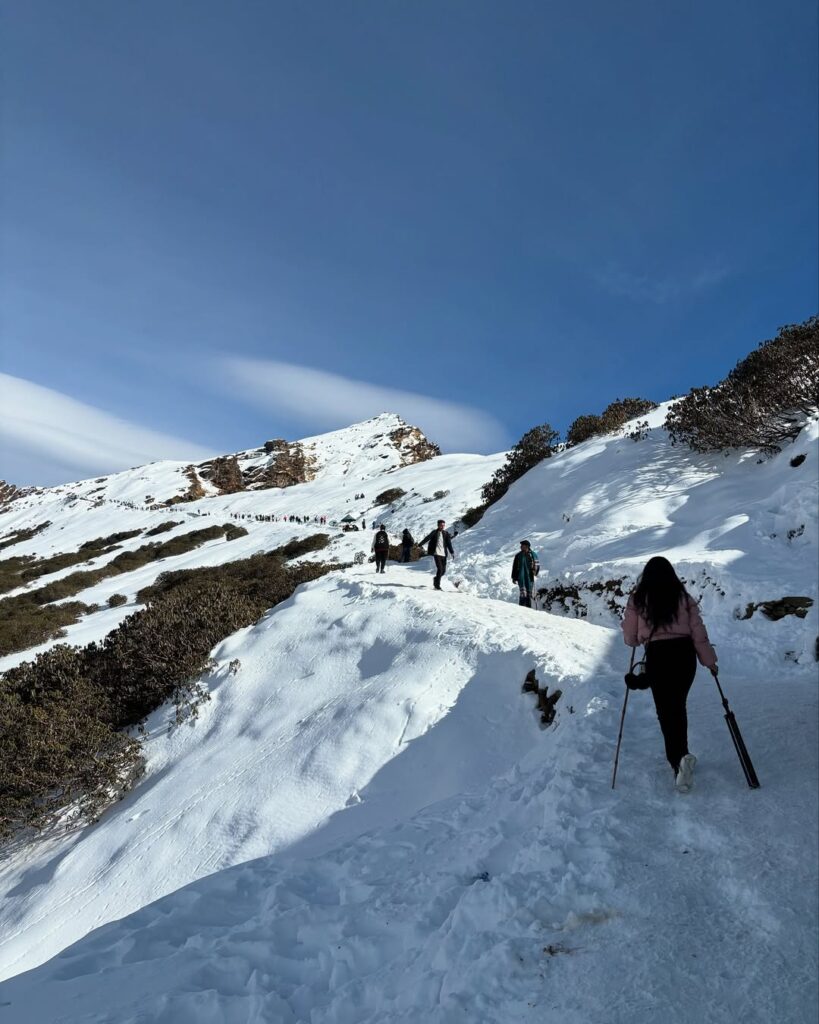 chopta trekking tour package